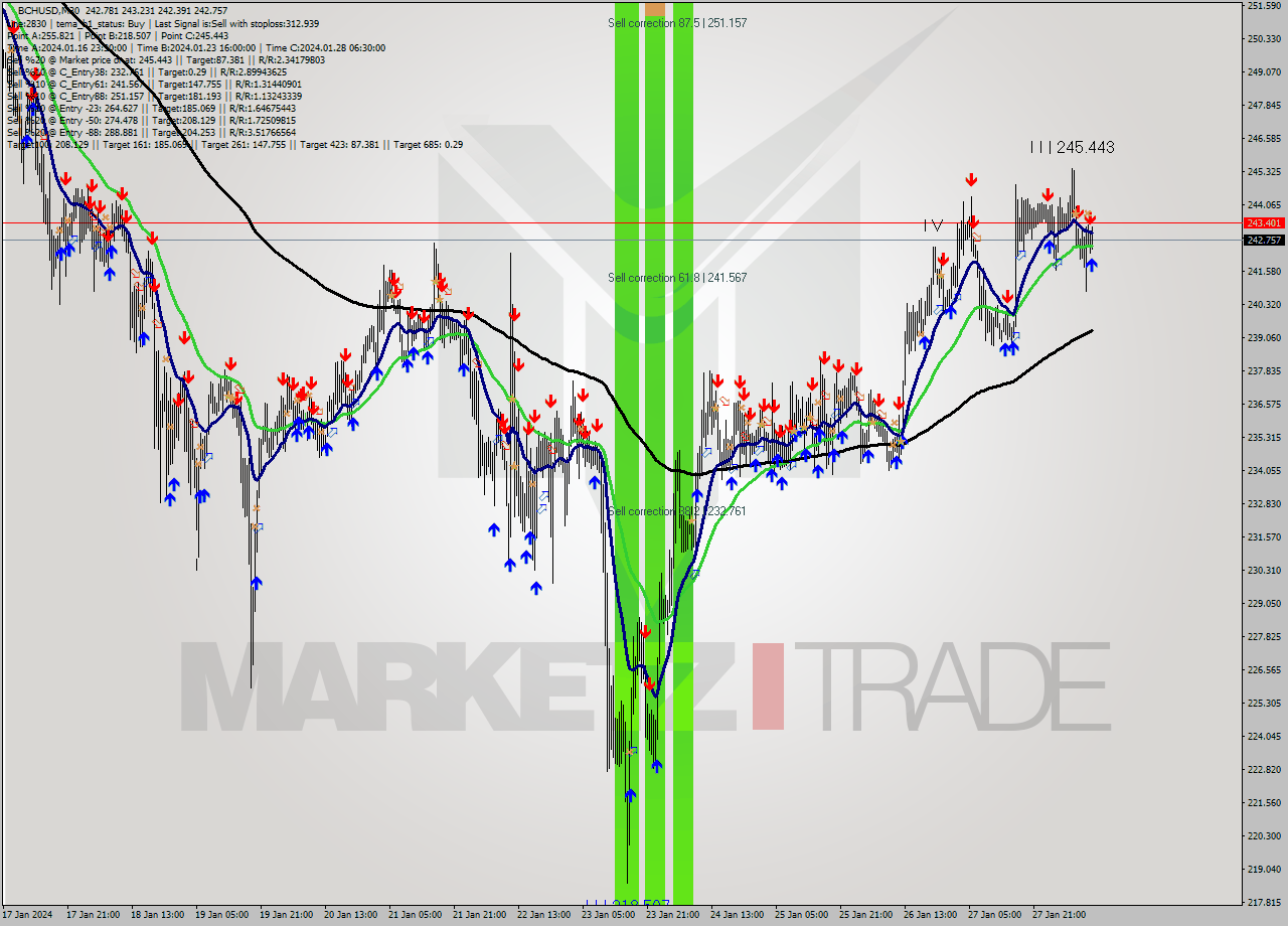 BCHUSD M30 Signal