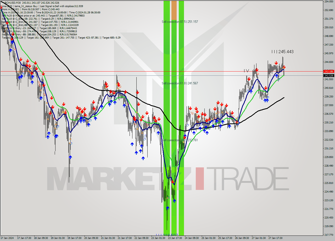 BCHUSD M30 Signal