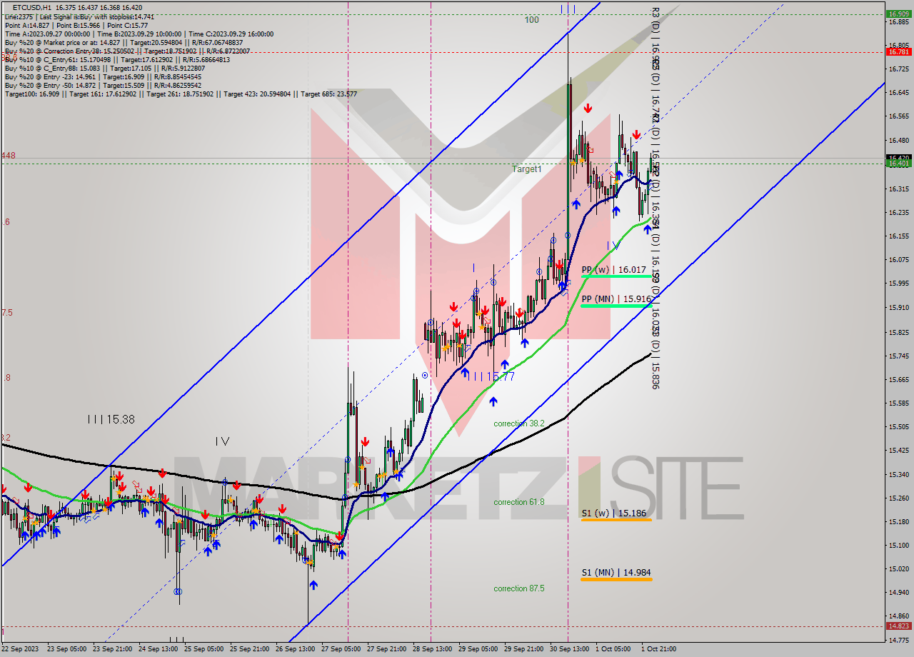 ETCUSD H1 Signal